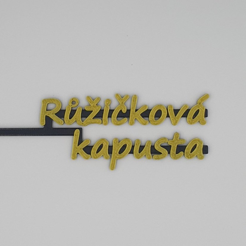 Jmenovka sazenic - Bylinky: Echinacea